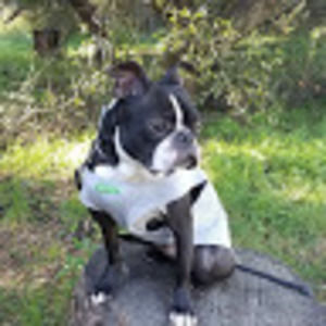 Meet your Posher, Abar